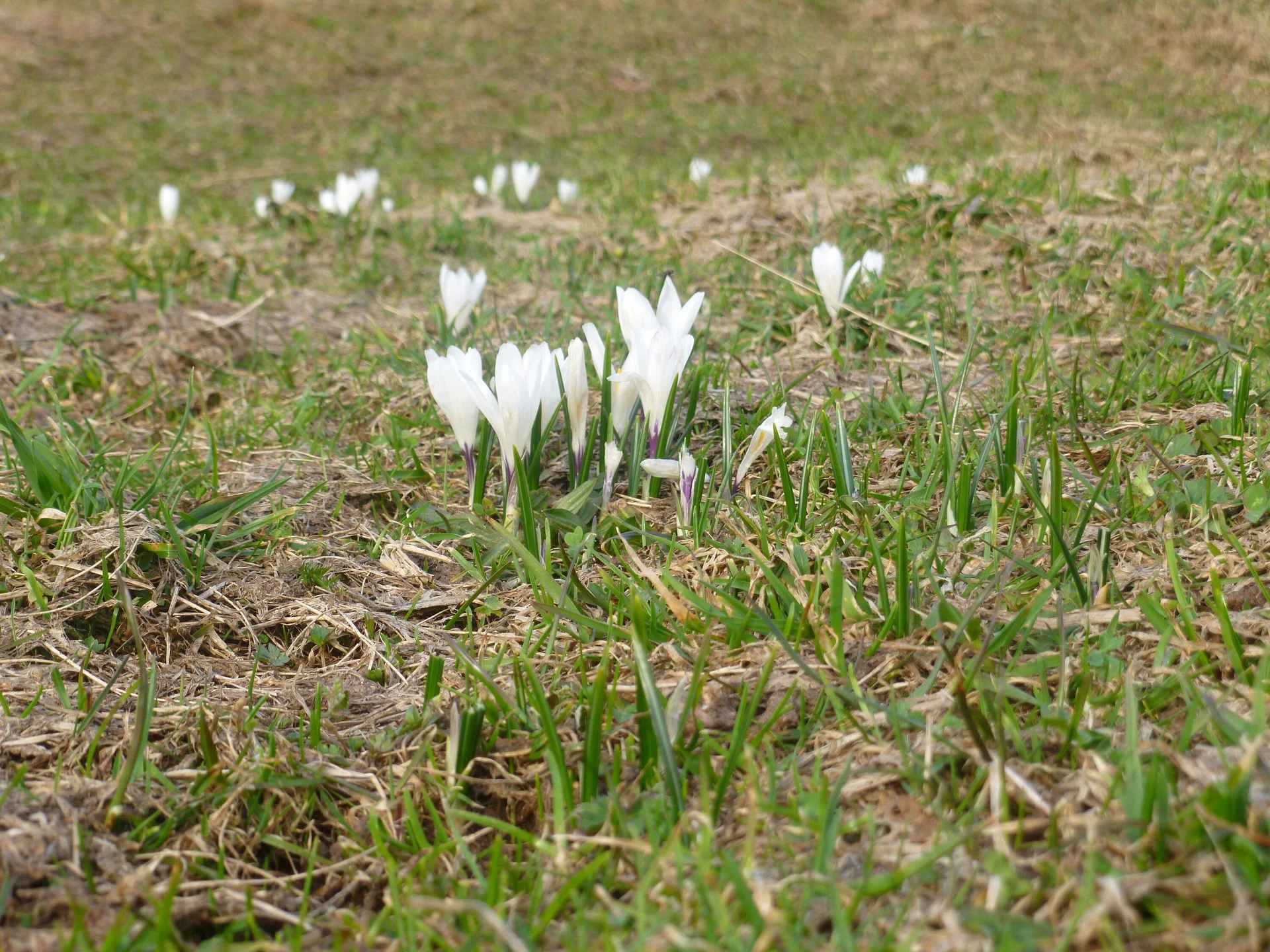 Oster-Mix | © Oster-Mix