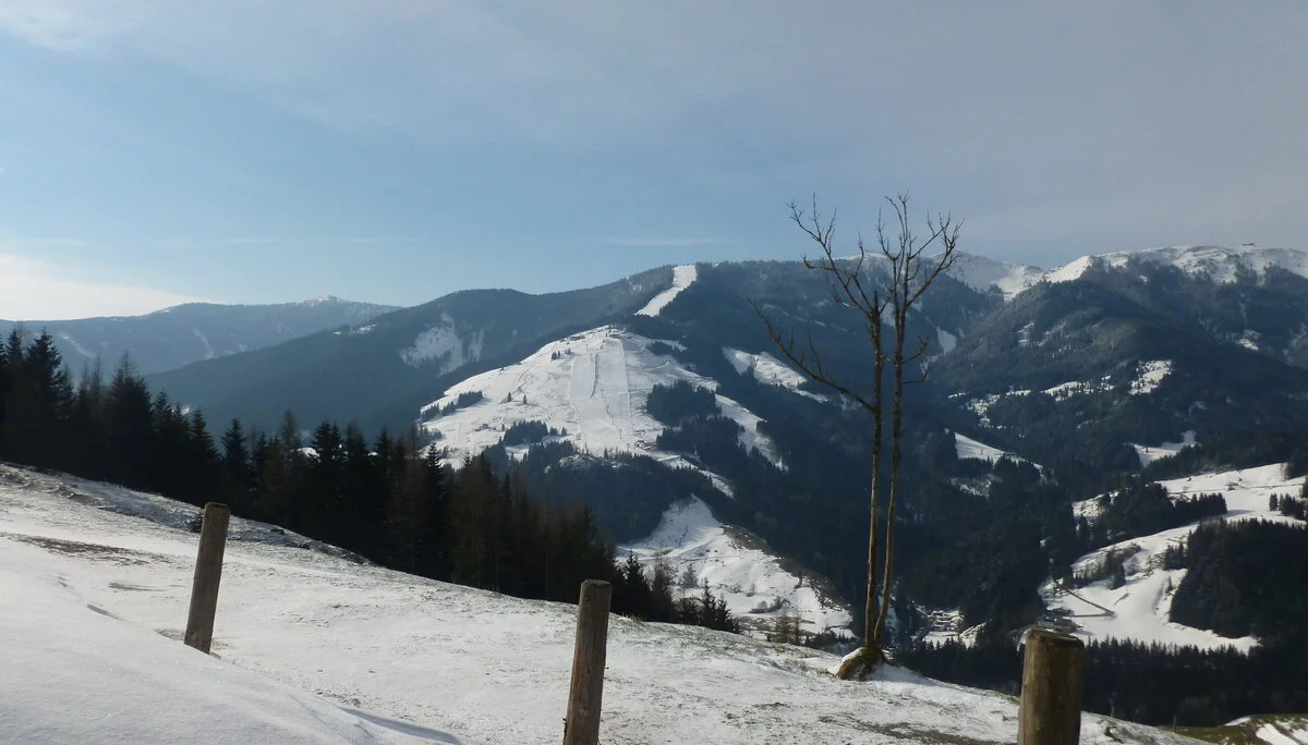 Oster-Mix | © Oster-Mix