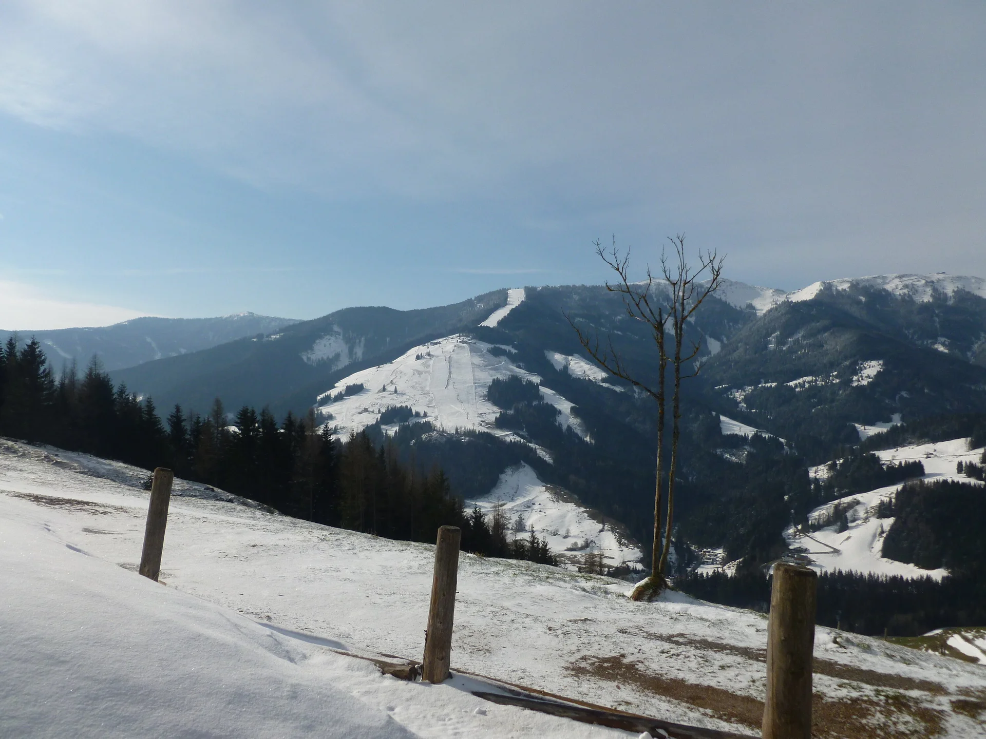 Oster-Mix | © Oster-Mix