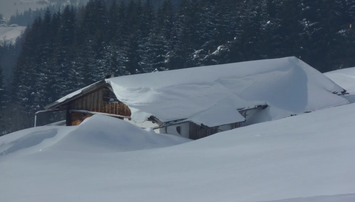 Pinzgau1 | © Pinzgau1