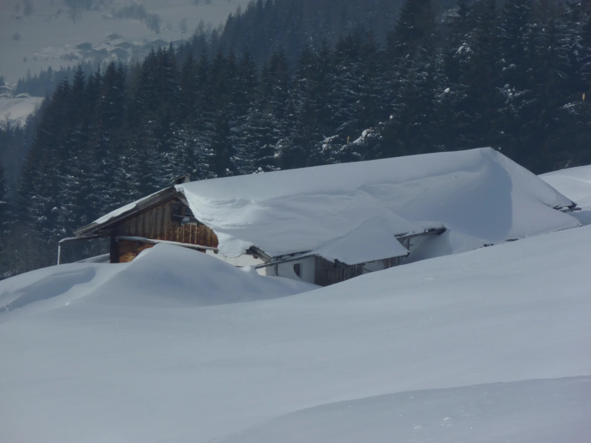 Pinzgau1 | © Pinzgau1