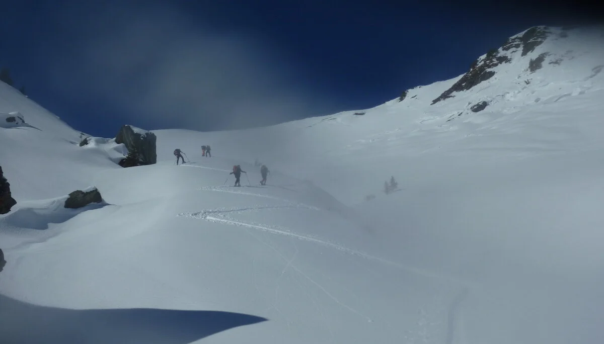 Pinzgau1 | © Pinzgau1