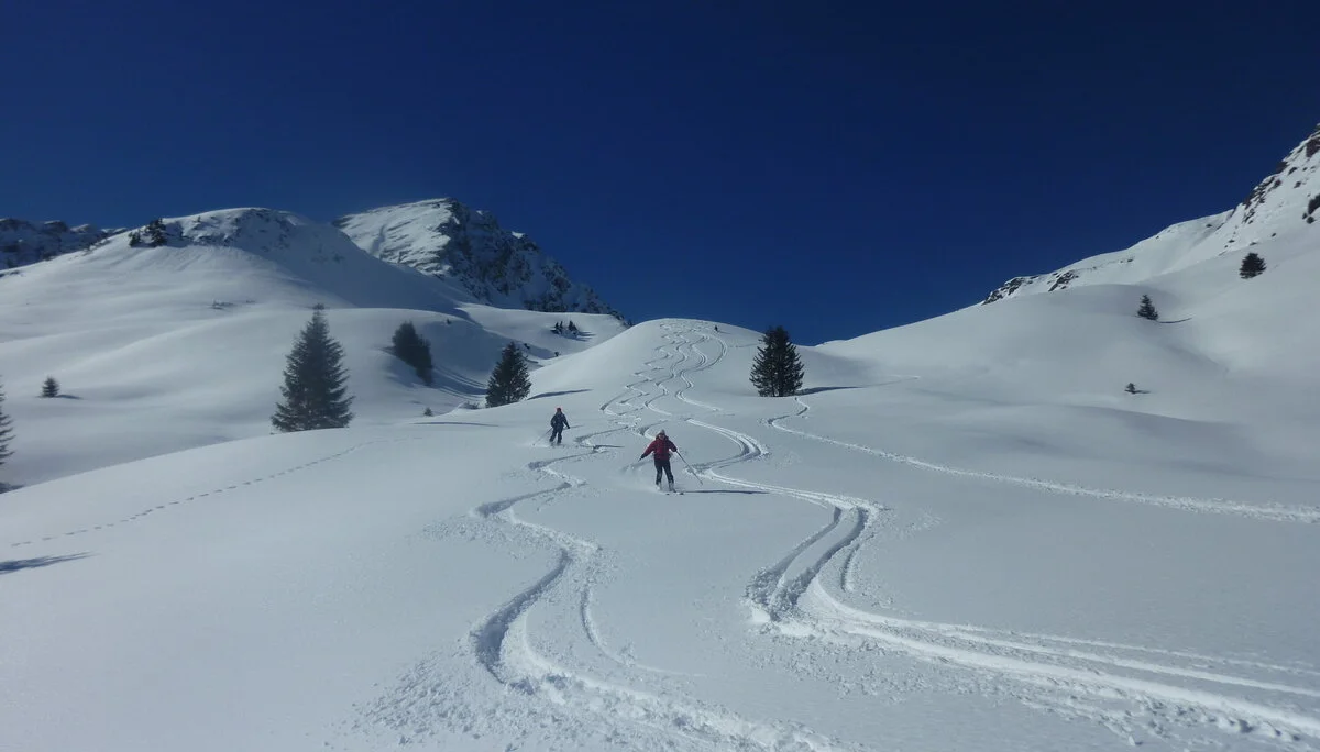 Pinzgau1 | © Pinzgau1