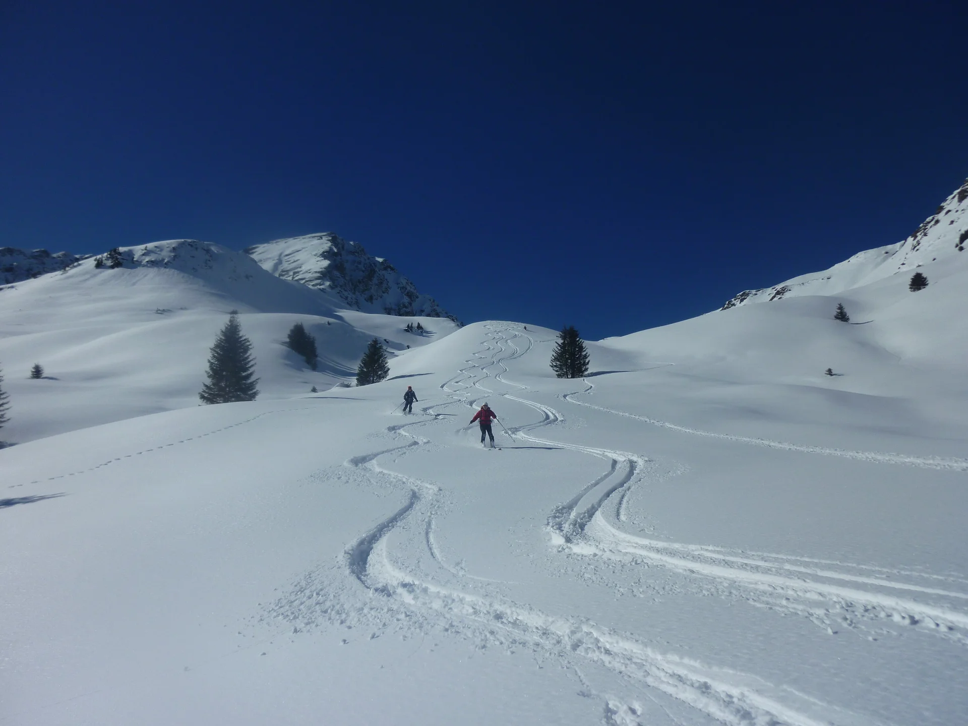 Pinzgau1 | © Pinzgau1