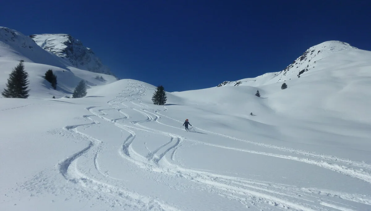 Pinzgau1 | © Pinzgau1