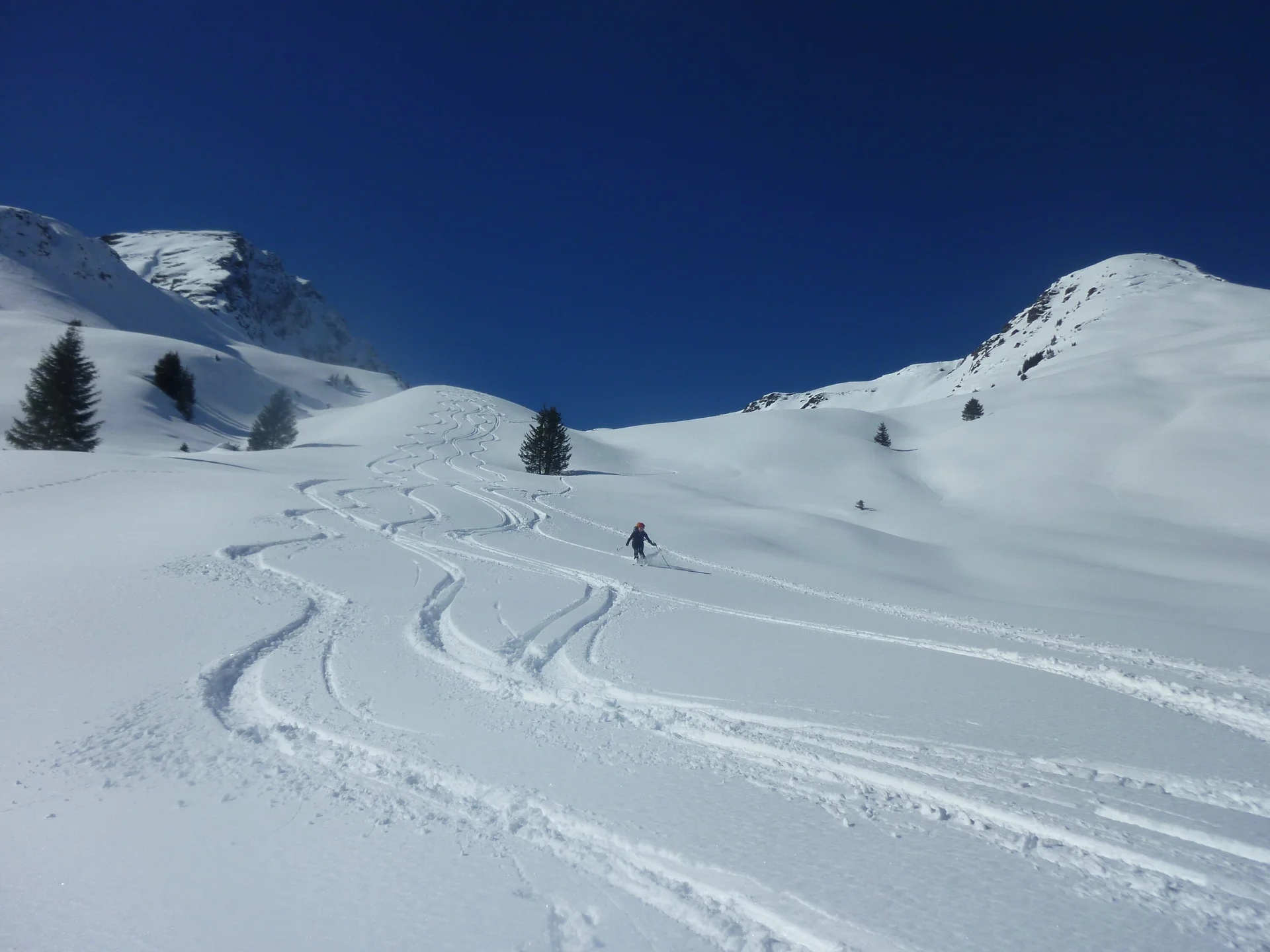 Pinzgau1 | © Pinzgau1