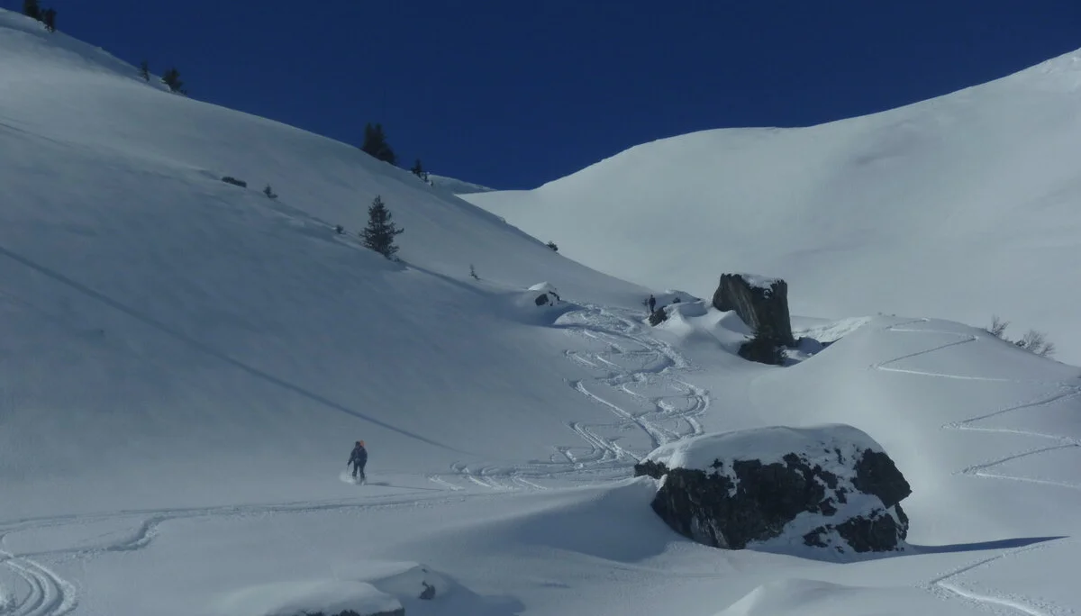 Pinzgau1 | © Pinzgau1