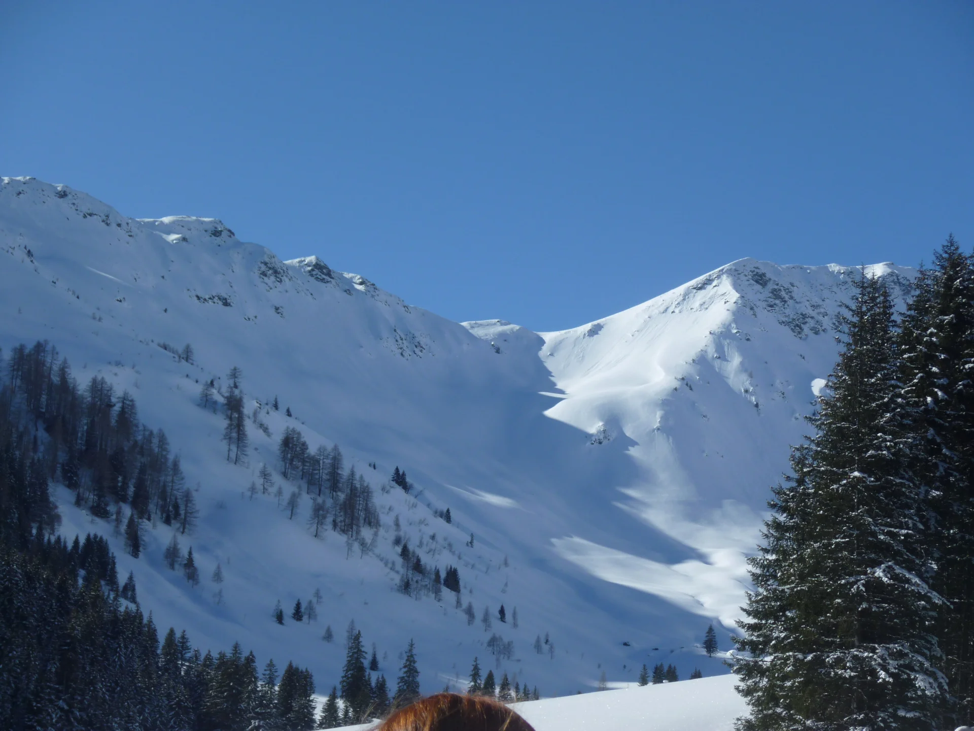 Pinzgau1 | © Pinzgau1