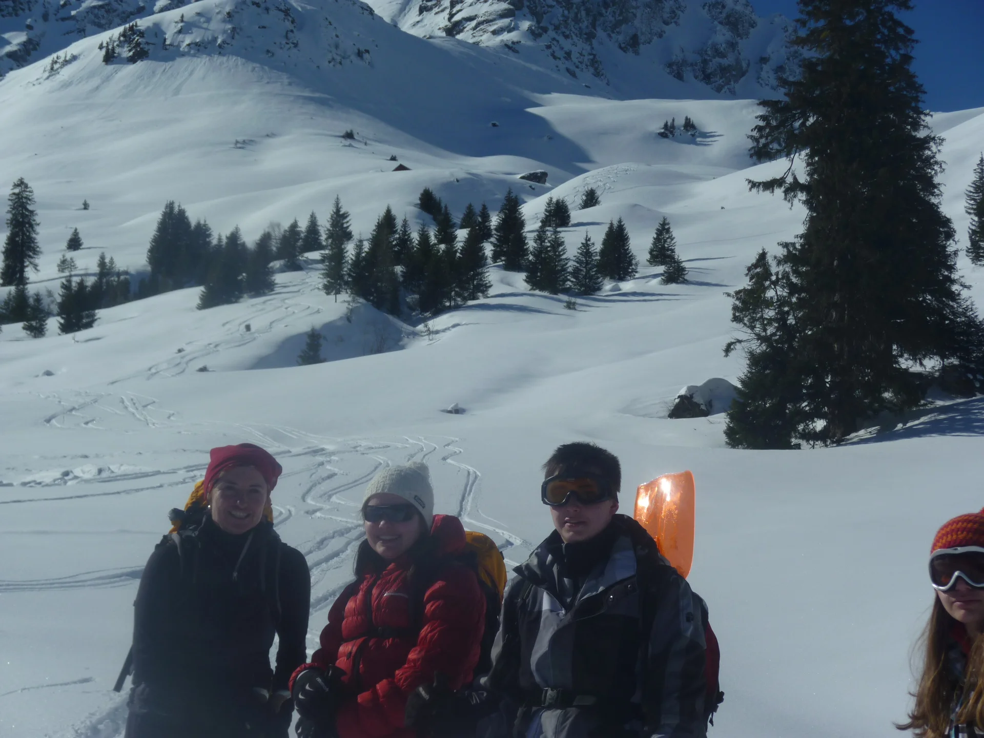 Pinzgau1 | © Pinzgau1