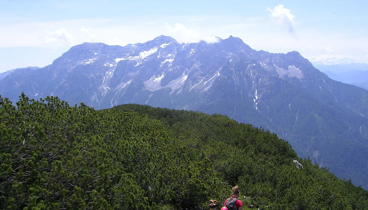 Schuastagangl | © Schuastagangl