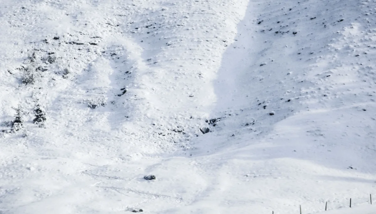 Oster-Mix | © Oster-Mix