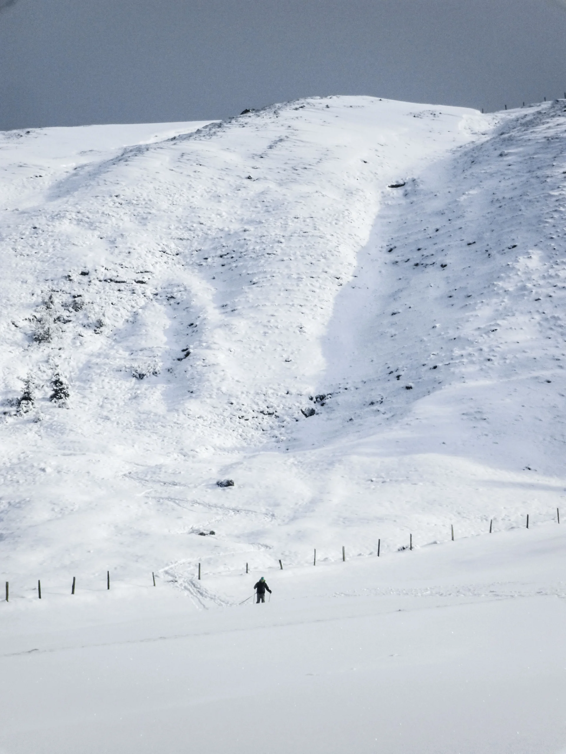 Oster-Mix | © Oster-Mix