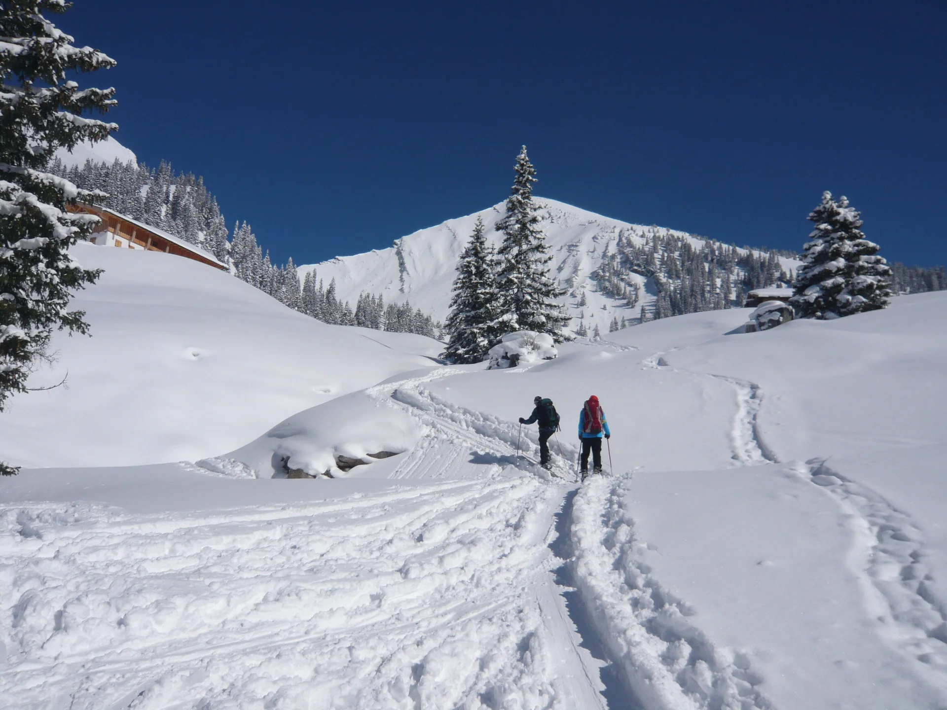 Die Wettervorhersage war auch in diesem Jahr nicht eindeutig. Aber wir weil die JDAV schon im letzten Jahr gute Erfahrung gemacht hatte, sagte man sich auch für den diesjährigen Ostermix, dass Regen zu Hause in jedem Fall schlechter ist als Schneefall in den Bergen. Die erste 5-köpfige Gruppe startete am 28.03.2013 Richtung Saalfelden/Leogang. Für Gründonnerstag waren noch sehr gute Wetterverhältnisse vorhergesagt. Und das war auch so, denn die Boarder fanden bei herrlichem Wetter beste Pistenbedinungen vor und die Skitourengehern konnten das erstemal ein dieser Saison eine herrliche Firnabfahrt vom Seehorn geniesen. Den nächsten Tag verbrachte die JDAV Jugend nochmal im Skigebiet Leogang, wobei am Freitagabend, nach einem intensiven Klettertag an der Weissbachwand, die zweite Abordnung der JDAV Ausfahrtsgruppe dazu kam und die Gruppe nun mit neun Teilnehmern vollzählig war. Für den Karsamstag plante die JDAV Gruppe die ganz große Saalbach-Hinterglemm-Runde. Schon kurz vor 9 Uhr stand man an der ersten Gondel um dieses Projekt zu meistern. Mit insgesamt 21 Liftfahrten, 8000 hm Abfahrt und 48 km Wegstrecke war dieser Ski/Boardtag für alle ein tolles Erlebnis und auch eine tolle Leistung. Am einzigen richtigen Schlechtwettertag, dem Ostersonntag, waren die Teilnehmer nicht verlegen. Schnell wurden Ski und Board gegen die Kletterschuhe getauscht und man besuchte die neu erbaute Kletterhalle in Saalfelden. Lange Kletterrouten bis zum 9.ten Schwierigkeitsgrad erfreuten und fordeten die JDAV Klettercracks aus Dingolfing und jeder kletterte was möglich war, frei nach dem Motto: no limits! Der Ostermontag bescherte den Teilnehmer wieder blauen Himmel, Sonnenschein und wegen dem Schneefall vom Vortag nochmal traumhafte Abfahrtsverhältnisse. JDAV - Fazit Ostern 2013: Wieder ein MIX der besonderen Art mit Klettern-Skitouren-Alpinski/Board und kulinarischem Erlebnissen auf der Alm! -> Gefällt uns | © Die Wettervorhersage war auch in diesem Jahr nicht eindeutig. Aber wir weil die JDAV schon im letzten Jahr gute Erfahrung gemacht hatte, sagte man sich auch für den diesjährigen Ostermix, dass Regen zu Hause in jedem Fall schlechter ist als Schneefall in den Bergen. Die erste 5-köpfige Gruppe startete am 28.03.2013 Richtung Saalfelden/Leogang. Für Gründonnerstag waren noch sehr gute Wetterverhältnisse vorhergesagt. Und das war auch so, denn die Boarder fanden bei herrlichem Wetter beste Pistenbedinungen vor und die Skitourengehern konnten das erstemal ein dieser Saison eine herrliche Firnabfahrt vom Seehorn geniesen. Den nächsten Tag verbrachte die JDAV Jugend nochmal im Skigebiet Leogang, wobei am Freitagabend, nach einem intensiven Klettertag an der Weissbachwand, die zweite Abordnung der JDAV Ausfahrtsgruppe dazu kam und die Gruppe nun mit neun Teilnehmern vollzählig war. Für den Karsamstag plante die JDAV Gruppe die ganz große Saalbach-Hinterglemm-Runde. Schon kurz vor 9 Uhr stand man an der ersten Gondel um dieses Projekt zu meistern. Mit insgesamt 21 Liftfahrten, 8000 hm Abfahrt und 48 km Wegstrecke war dieser Ski/Boardtag für alle ein tolles Erlebnis und auch eine tolle Leistung. Am einzigen richtigen Schlechtwettertag, dem Ostersonntag, waren die Teilnehmer nicht verlegen. Schnell wurden Ski und Board gegen die Kletterschuhe getauscht und man besuchte die neu erbaute Kletterhalle in Saalfelden. Lange Kletterrouten bis zum 9.ten Schwierigkeitsgrad erfreuten und fordeten die JDAV Klettercracks aus Dingolfing und jeder kletterte was möglich war, frei nach dem Motto: no limits! Der Ostermontag bescherte den Teilnehmer wieder blauen Himmel, Sonnenschein und wegen dem Schneefall vom Vortag nochmal traumhafte Abfahrtsverhältnisse. JDAV - Fazit Ostern 2013: Wieder ein MIX der besonderen Art mit Klettern-Skitouren-Alpinski/Board und kulinarischem Erlebnissen auf der Alm! -> Gefällt uns