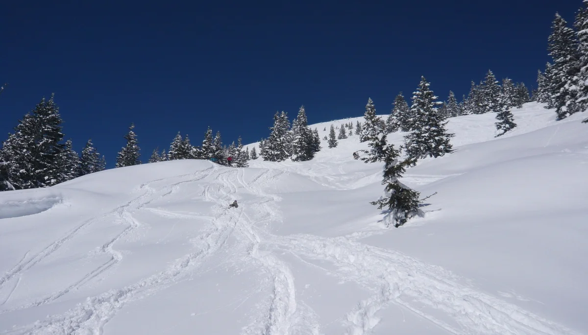 Die Wettervorhersage war auch in diesem Jahr nicht eindeutig. Aber wir weil die JDAV schon im letzten Jahr gute Erfahrung gemacht hatte, sagte man sich auch für den diesjährigen Ostermix, dass Regen zu Hause in jedem Fall schlechter ist als Schneefall in den Bergen. Die erste 5-köpfige Gruppe startete am 28.03.2013 Richtung Saalfelden/Leogang. Für Gründonnerstag waren noch sehr gute Wetterverhältnisse vorhergesagt. Und das war auch so, denn die Boarder fanden bei herrlichem Wetter beste Pistenbedinungen vor und die Skitourengehern konnten das erstemal ein dieser Saison eine herrliche Firnabfahrt vom Seehorn geniesen. Den nächsten Tag verbrachte die JDAV Jugend nochmal im Skigebiet Leogang, wobei am Freitagabend, nach einem intensiven Klettertag an der Weissbachwand, die zweite Abordnung der JDAV Ausfahrtsgruppe dazu kam und die Gruppe nun mit neun Teilnehmern vollzählig war. Für den Karsamstag plante die JDAV Gruppe die ganz große Saalbach-Hinterglemm-Runde. Schon kurz vor 9 Uhr stand man an der ersten Gondel um dieses Projekt zu meistern. Mit insgesamt 21 Liftfahrten, 8000 hm Abfahrt und 48 km Wegstrecke war dieser Ski/Boardtag für alle ein tolles Erlebnis und auch eine tolle Leistung. Am einzigen richtigen Schlechtwettertag, dem Ostersonntag, waren die Teilnehmer nicht verlegen. Schnell wurden Ski und Board gegen die Kletterschuhe getauscht und man besuchte die neu erbaute Kletterhalle in Saalfelden. Lange Kletterrouten bis zum 9.ten Schwierigkeitsgrad erfreuten und fordeten die JDAV Klettercracks aus Dingolfing und jeder kletterte was möglich war, frei nach dem Motto: no limits! Der Ostermontag bescherte den Teilnehmer wieder blauen Himmel, Sonnenschein und wegen dem Schneefall vom Vortag nochmal traumhafte Abfahrtsverhältnisse. JDAV - Fazit Ostern 2013: Wieder ein MIX der besonderen Art mit Klettern-Skitouren-Alpinski/Board und kulinarischem Erlebnissen auf der Alm! -> Gefällt uns | © Die Wettervorhersage war auch in diesem Jahr nicht eindeutig. Aber wir weil die JDAV schon im letzten Jahr gute Erfahrung gemacht hatte, sagte man sich auch für den diesjährigen Ostermix, dass Regen zu Hause in jedem Fall schlechter ist als Schneefall in den Bergen. Die erste 5-köpfige Gruppe startete am 28.03.2013 Richtung Saalfelden/Leogang. Für Gründonnerstag waren noch sehr gute Wetterverhältnisse vorhergesagt. Und das war auch so, denn die Boarder fanden bei herrlichem Wetter beste Pistenbedinungen vor und die Skitourengehern konnten das erstemal ein dieser Saison eine herrliche Firnabfahrt vom Seehorn geniesen. Den nächsten Tag verbrachte die JDAV Jugend nochmal im Skigebiet Leogang, wobei am Freitagabend, nach einem intensiven Klettertag an der Weissbachwand, die zweite Abordnung der JDAV Ausfahrtsgruppe dazu kam und die Gruppe nun mit neun Teilnehmern vollzählig war. Für den Karsamstag plante die JDAV Gruppe die ganz große Saalbach-Hinterglemm-Runde. Schon kurz vor 9 Uhr stand man an der ersten Gondel um dieses Projekt zu meistern. Mit insgesamt 21 Liftfahrten, 8000 hm Abfahrt und 48 km Wegstrecke war dieser Ski/Boardtag für alle ein tolles Erlebnis und auch eine tolle Leistung. Am einzigen richtigen Schlechtwettertag, dem Ostersonntag, waren die Teilnehmer nicht verlegen. Schnell wurden Ski und Board gegen die Kletterschuhe getauscht und man besuchte die neu erbaute Kletterhalle in Saalfelden. Lange Kletterrouten bis zum 9.ten Schwierigkeitsgrad erfreuten und fordeten die JDAV Klettercracks aus Dingolfing und jeder kletterte was möglich war, frei nach dem Motto: no limits! Der Ostermontag bescherte den Teilnehmer wieder blauen Himmel, Sonnenschein und wegen dem Schneefall vom Vortag nochmal traumhafte Abfahrtsverhältnisse. JDAV - Fazit Ostern 2013: Wieder ein MIX der besonderen Art mit Klettern-Skitouren-Alpinski/Board und kulinarischem Erlebnissen auf der Alm! -> Gefällt uns