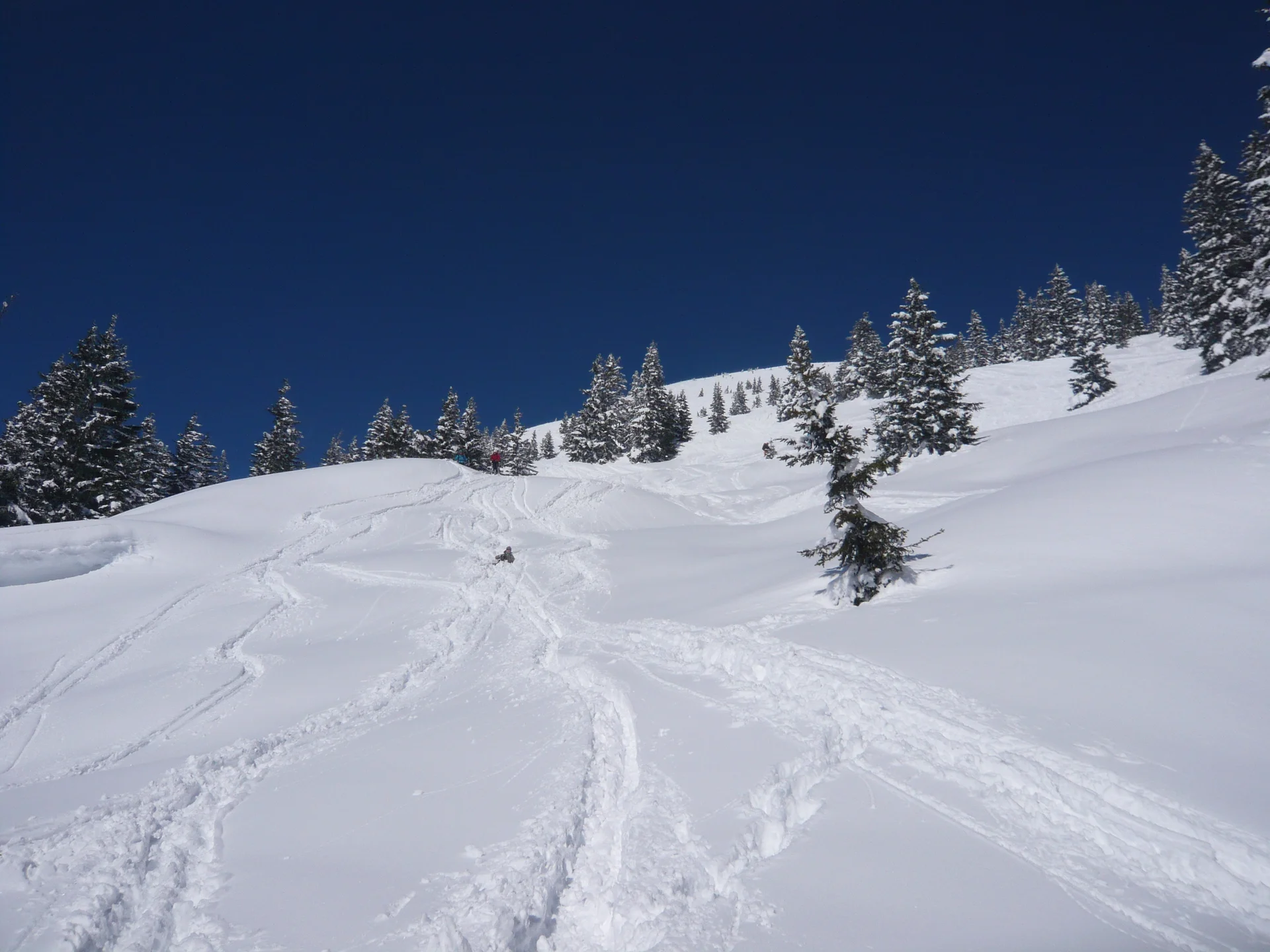 Die Wettervorhersage war auch in diesem Jahr nicht eindeutig. Aber wir weil die JDAV schon im letzten Jahr gute Erfahrung gemacht hatte, sagte man sich auch für den diesjährigen Ostermix, dass Regen zu Hause in jedem Fall schlechter ist als Schneefall in den Bergen. Die erste 5-köpfige Gruppe startete am 28.03.2013 Richtung Saalfelden/Leogang. Für Gründonnerstag waren noch sehr gute Wetterverhältnisse vorhergesagt. Und das war auch so, denn die Boarder fanden bei herrlichem Wetter beste Pistenbedinungen vor und die Skitourengehern konnten das erstemal ein dieser Saison eine herrliche Firnabfahrt vom Seehorn geniesen. Den nächsten Tag verbrachte die JDAV Jugend nochmal im Skigebiet Leogang, wobei am Freitagabend, nach einem intensiven Klettertag an der Weissbachwand, die zweite Abordnung der JDAV Ausfahrtsgruppe dazu kam und die Gruppe nun mit neun Teilnehmern vollzählig war. Für den Karsamstag plante die JDAV Gruppe die ganz große Saalbach-Hinterglemm-Runde. Schon kurz vor 9 Uhr stand man an der ersten Gondel um dieses Projekt zu meistern. Mit insgesamt 21 Liftfahrten, 8000 hm Abfahrt und 48 km Wegstrecke war dieser Ski/Boardtag für alle ein tolles Erlebnis und auch eine tolle Leistung. Am einzigen richtigen Schlechtwettertag, dem Ostersonntag, waren die Teilnehmer nicht verlegen. Schnell wurden Ski und Board gegen die Kletterschuhe getauscht und man besuchte die neu erbaute Kletterhalle in Saalfelden. Lange Kletterrouten bis zum 9.ten Schwierigkeitsgrad erfreuten und fordeten die JDAV Klettercracks aus Dingolfing und jeder kletterte was möglich war, frei nach dem Motto: no limits! Der Ostermontag bescherte den Teilnehmer wieder blauen Himmel, Sonnenschein und wegen dem Schneefall vom Vortag nochmal traumhafte Abfahrtsverhältnisse. JDAV - Fazit Ostern 2013: Wieder ein MIX der besonderen Art mit Klettern-Skitouren-Alpinski/Board und kulinarischem Erlebnissen auf der Alm! -> Gefällt uns | © Die Wettervorhersage war auch in diesem Jahr nicht eindeutig. Aber wir weil die JDAV schon im letzten Jahr gute Erfahrung gemacht hatte, sagte man sich auch für den diesjährigen Ostermix, dass Regen zu Hause in jedem Fall schlechter ist als Schneefall in den Bergen. Die erste 5-köpfige Gruppe startete am 28.03.2013 Richtung Saalfelden/Leogang. Für Gründonnerstag waren noch sehr gute Wetterverhältnisse vorhergesagt. Und das war auch so, denn die Boarder fanden bei herrlichem Wetter beste Pistenbedinungen vor und die Skitourengehern konnten das erstemal ein dieser Saison eine herrliche Firnabfahrt vom Seehorn geniesen. Den nächsten Tag verbrachte die JDAV Jugend nochmal im Skigebiet Leogang, wobei am Freitagabend, nach einem intensiven Klettertag an der Weissbachwand, die zweite Abordnung der JDAV Ausfahrtsgruppe dazu kam und die Gruppe nun mit neun Teilnehmern vollzählig war. Für den Karsamstag plante die JDAV Gruppe die ganz große Saalbach-Hinterglemm-Runde. Schon kurz vor 9 Uhr stand man an der ersten Gondel um dieses Projekt zu meistern. Mit insgesamt 21 Liftfahrten, 8000 hm Abfahrt und 48 km Wegstrecke war dieser Ski/Boardtag für alle ein tolles Erlebnis und auch eine tolle Leistung. Am einzigen richtigen Schlechtwettertag, dem Ostersonntag, waren die Teilnehmer nicht verlegen. Schnell wurden Ski und Board gegen die Kletterschuhe getauscht und man besuchte die neu erbaute Kletterhalle in Saalfelden. Lange Kletterrouten bis zum 9.ten Schwierigkeitsgrad erfreuten und fordeten die JDAV Klettercracks aus Dingolfing und jeder kletterte was möglich war, frei nach dem Motto: no limits! Der Ostermontag bescherte den Teilnehmer wieder blauen Himmel, Sonnenschein und wegen dem Schneefall vom Vortag nochmal traumhafte Abfahrtsverhältnisse. JDAV - Fazit Ostern 2013: Wieder ein MIX der besonderen Art mit Klettern-Skitouren-Alpinski/Board und kulinarischem Erlebnissen auf der Alm! -> Gefällt uns