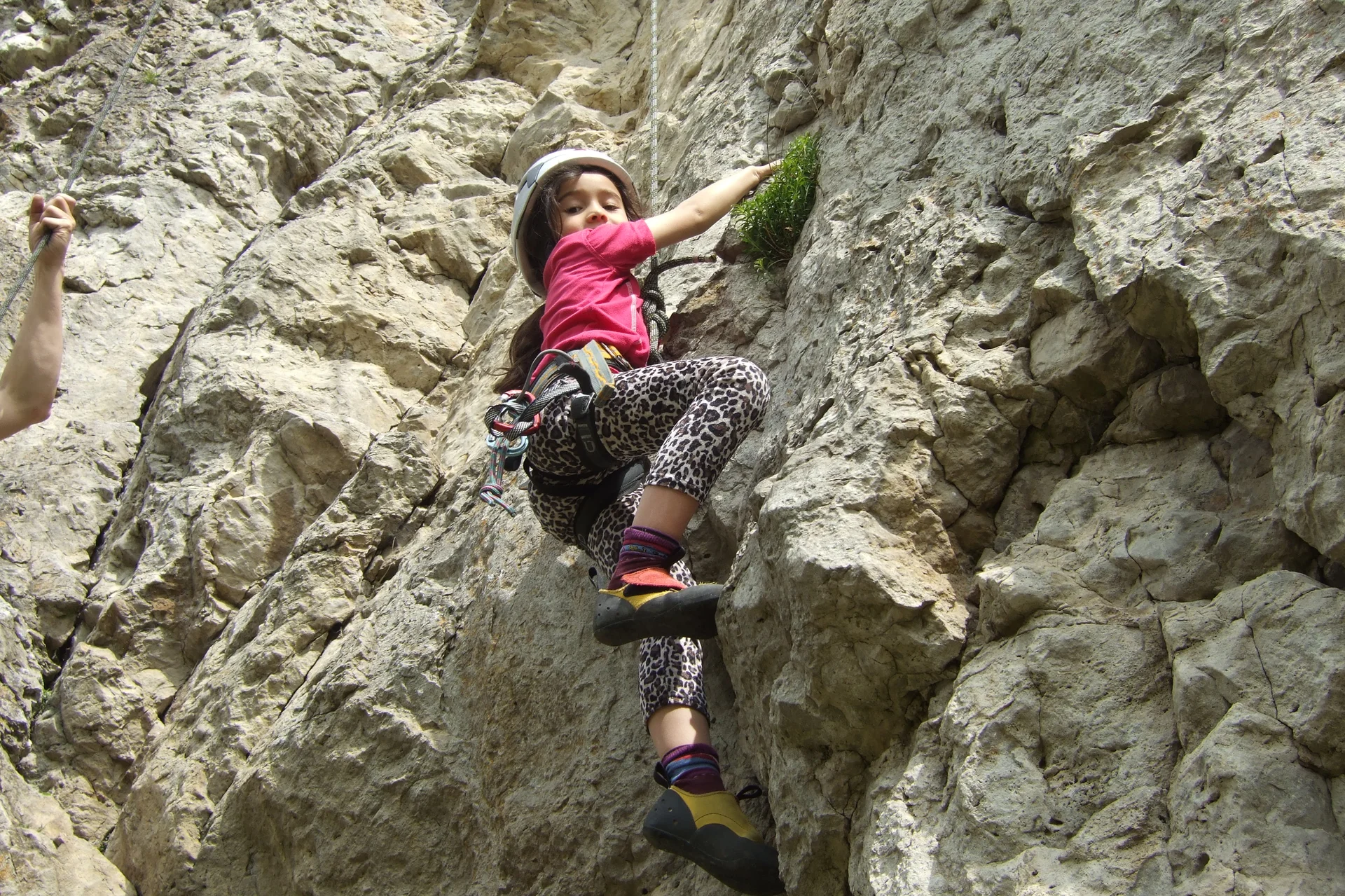 Schönhofen | © Schönhofen