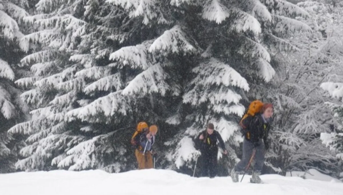 Peitingköpfl  | © Peitingköpfl 