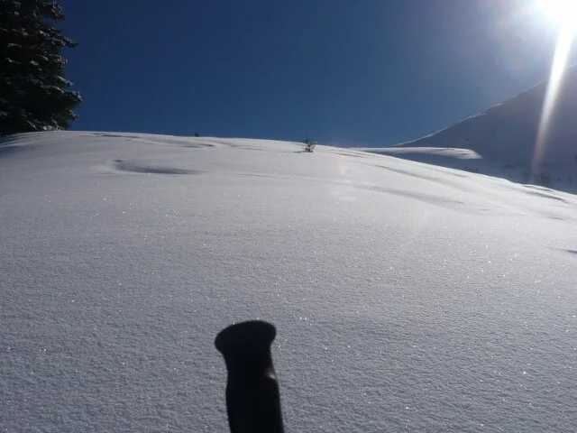 Peitingköpfl  | © Peitingköpfl 