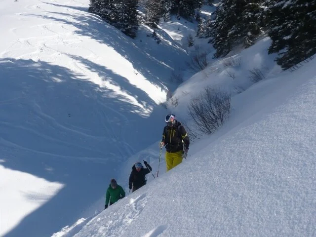 Peitingköpfl  | © Peitingköpfl 