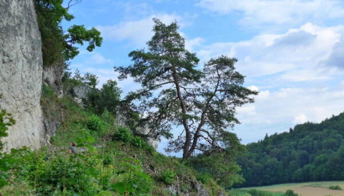 Schönhofen | © Schönhofen