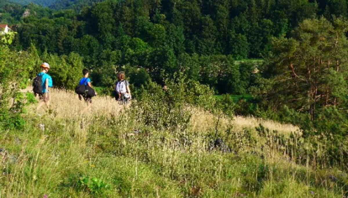 Schönhofen | © Schönhofen