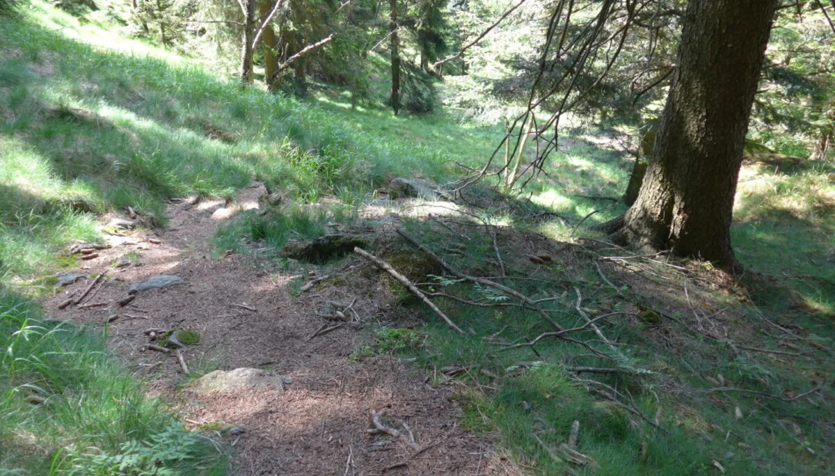 Kaitersberg  | © Kaitersberg 