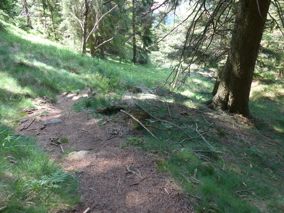 Kaitersberg  | © Kaitersberg 