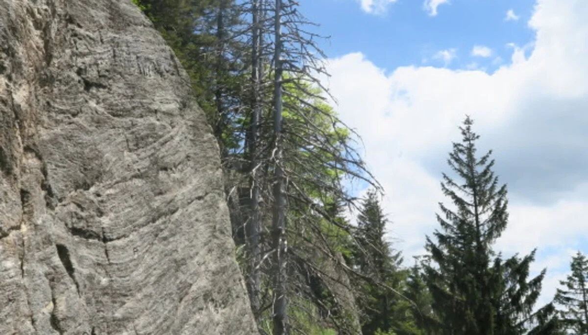 Kaitersberg  | © Kaitersberg 