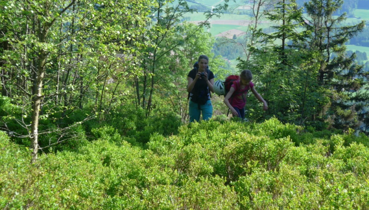 Kaitersberg  | © Kaitersberg 