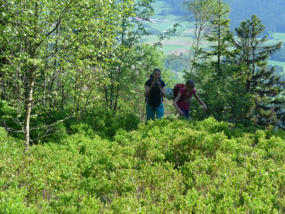 Kaitersberg  | © Kaitersberg 