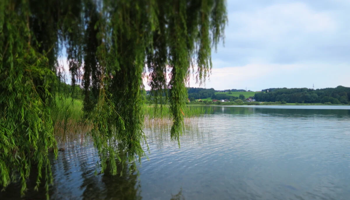 Bezirkscamp | © Bezirkscamp