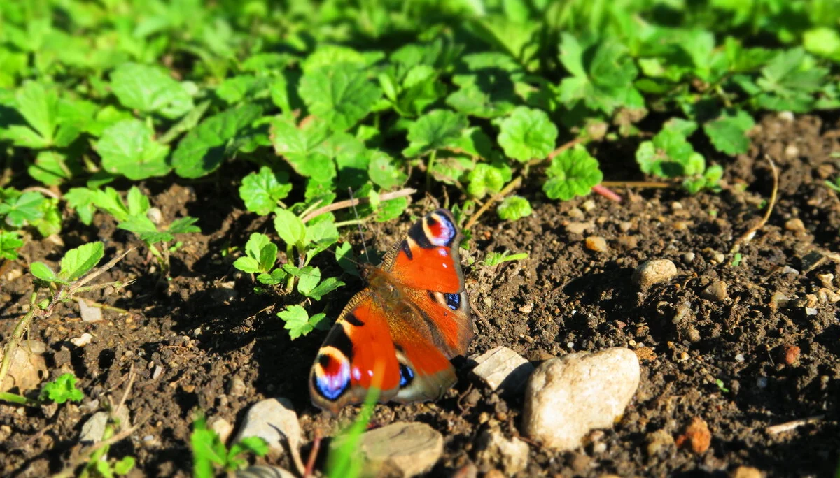 Bezirkscamp | © Bezirkscamp