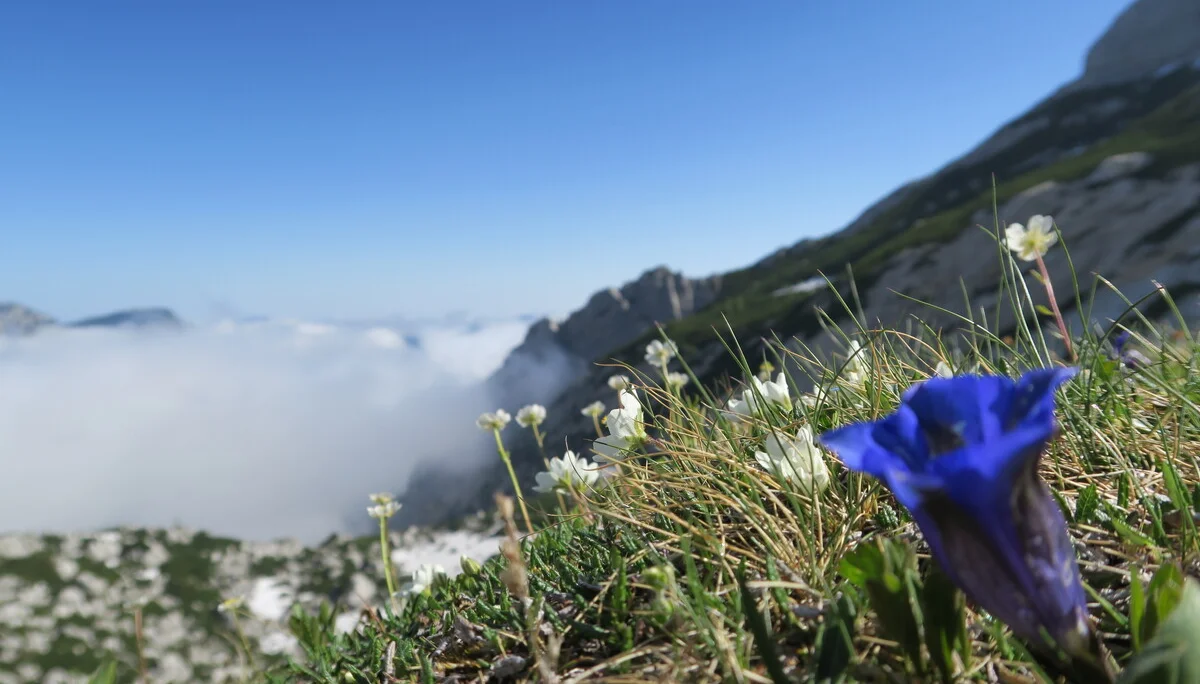 Blaueishütte | © Blaueishütte