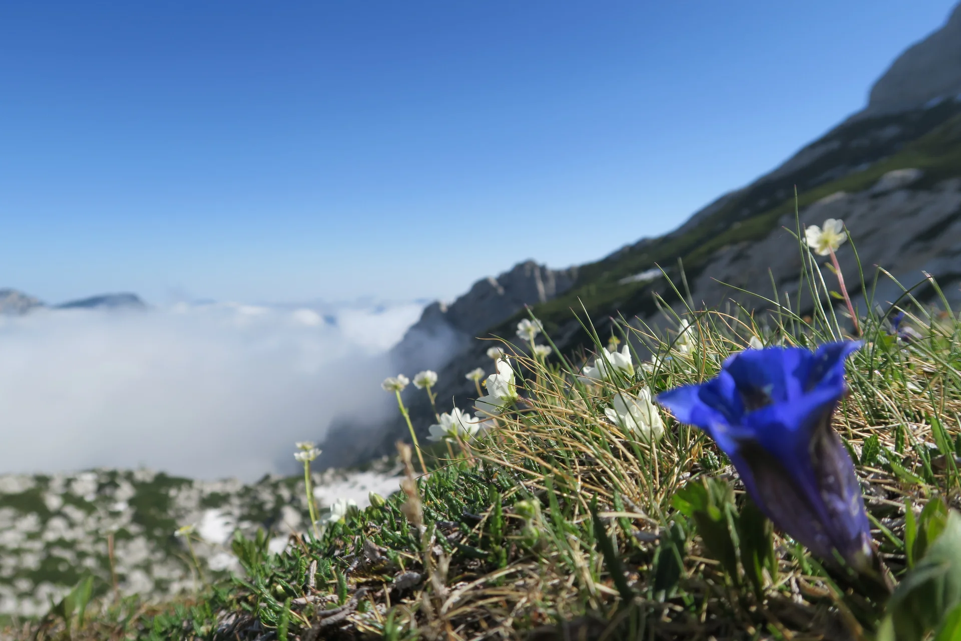 Blaueishütte | © Blaueishütte