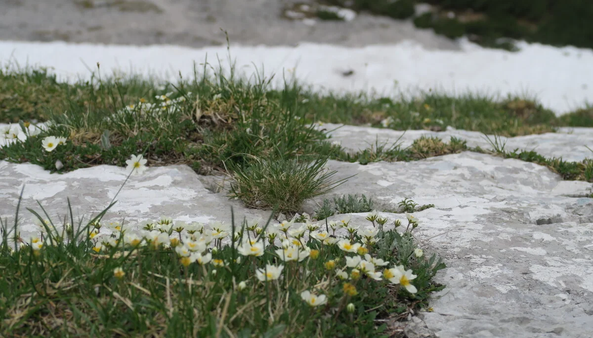 Blaueishütte | © Blaueishütte