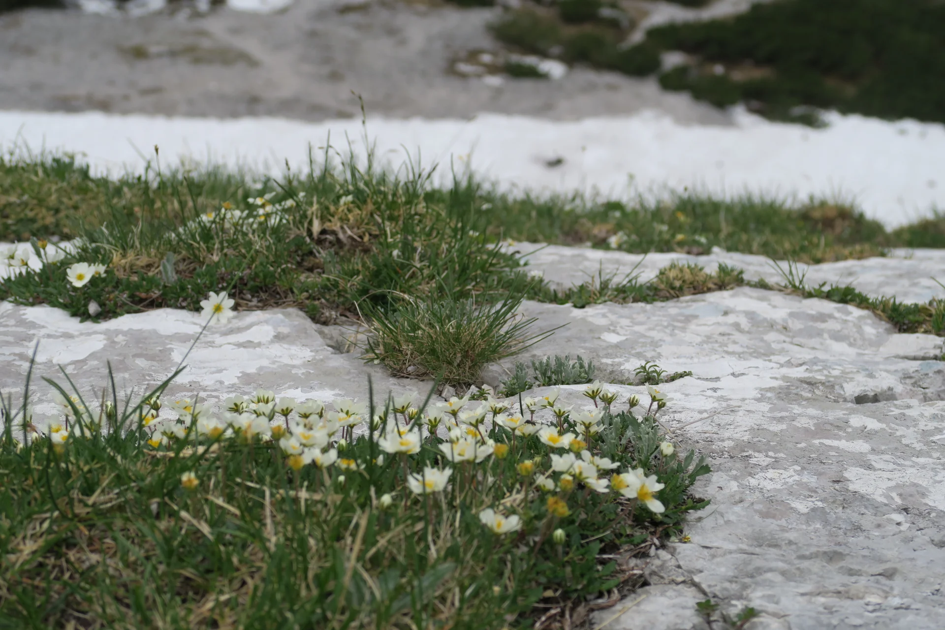 Blaueishütte | © Blaueishütte