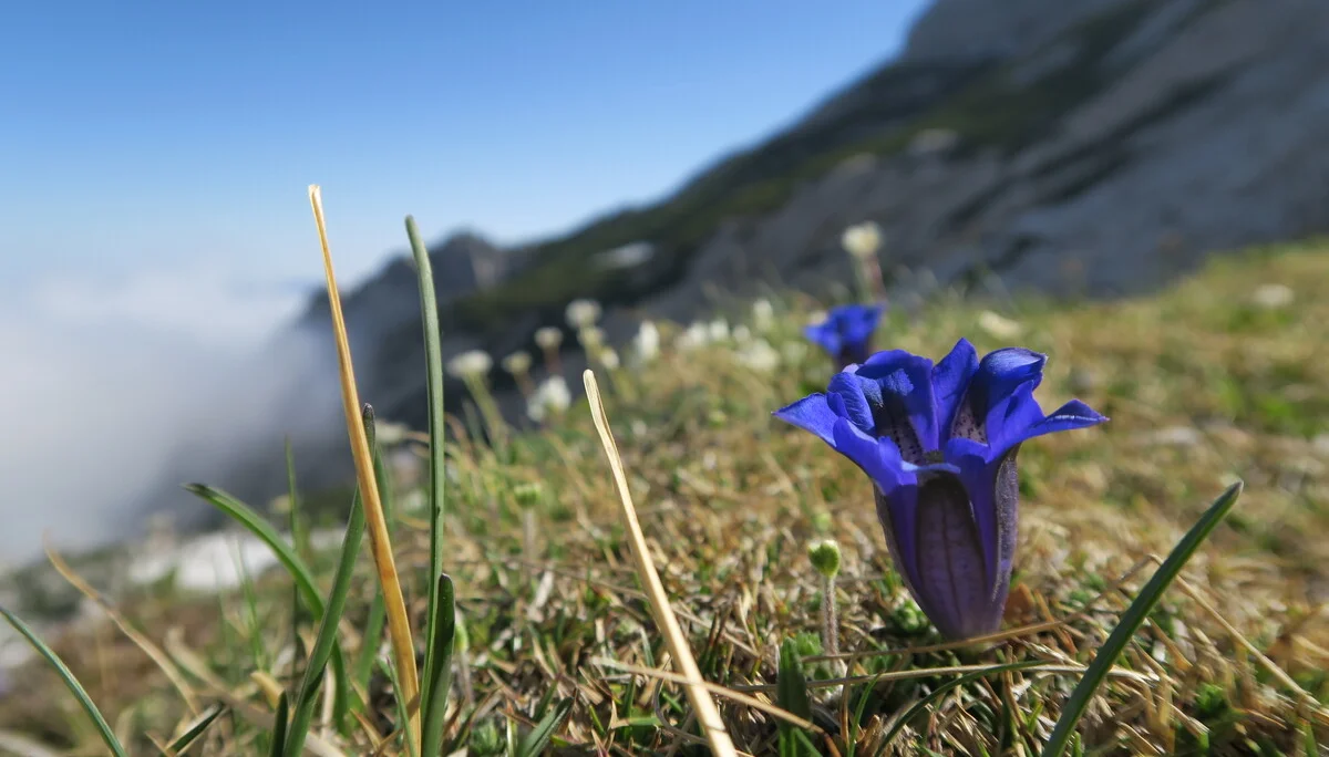 Blaueishütte | © Blaueishütte