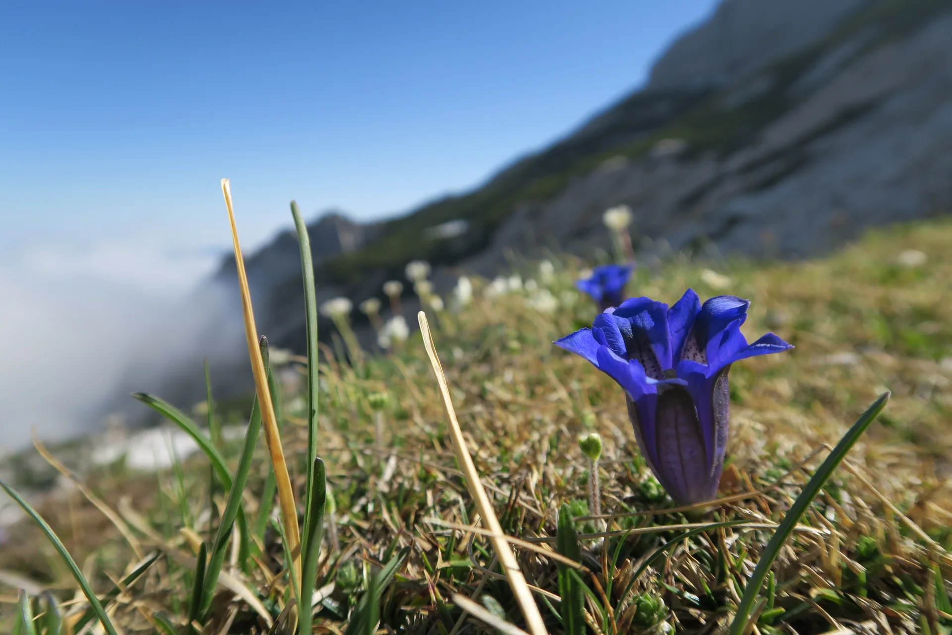 Blaueishütte | © Blaueishütte