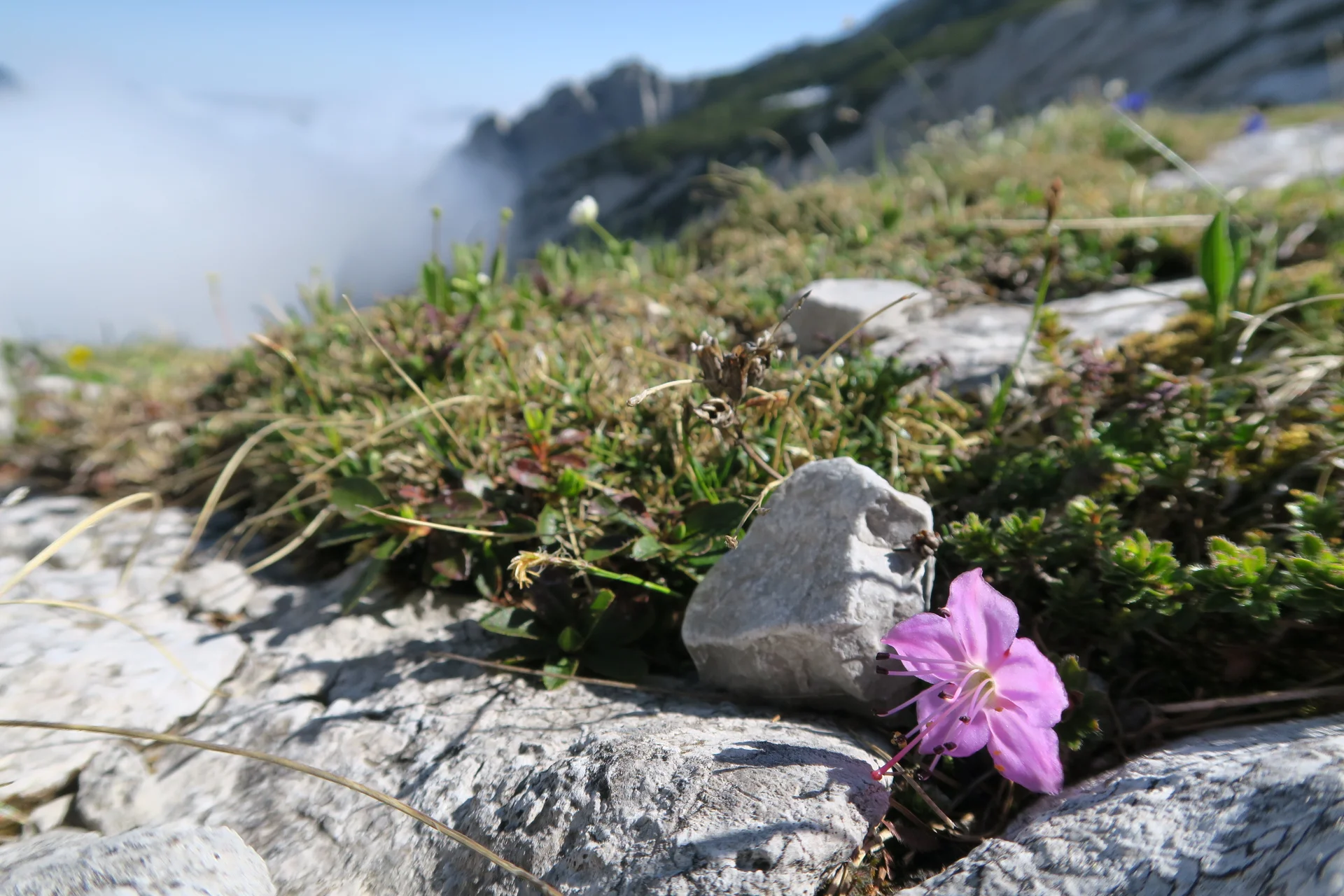 Blaueishütte | © Blaueishütte