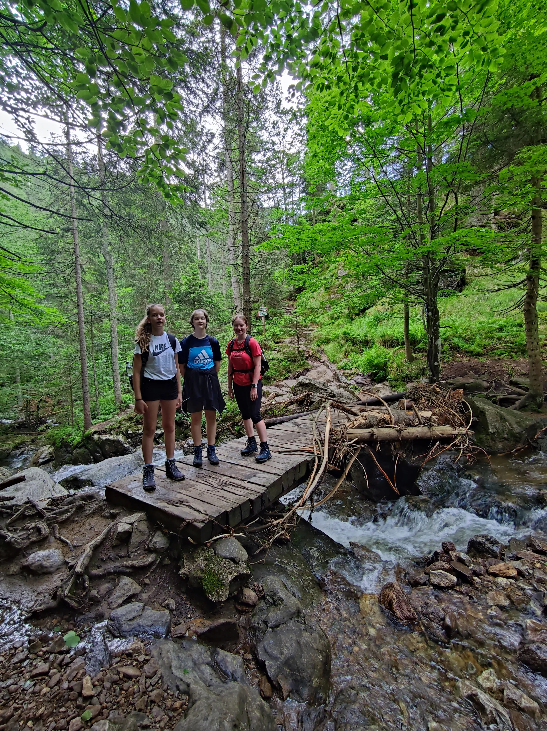 Rieslochfälle | © Rieslochfälle