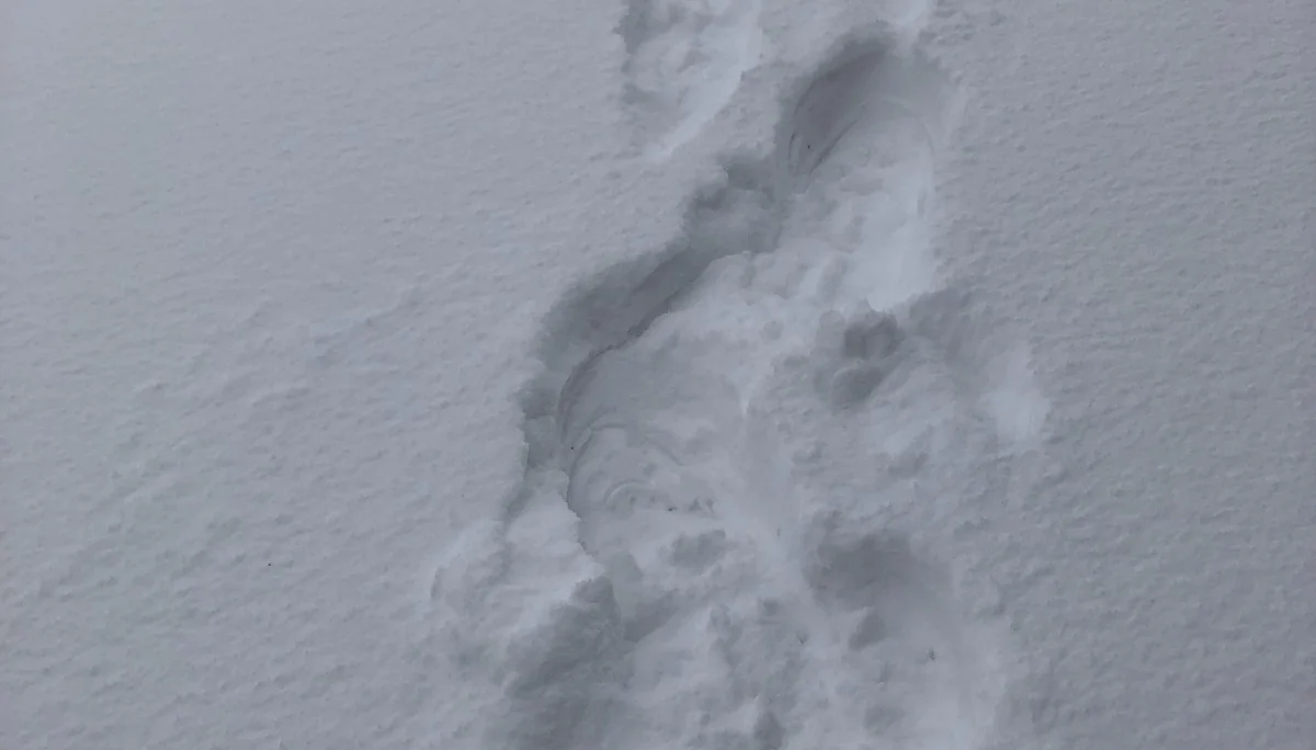 Wochenende im Schnee | © Kiermeier Christian