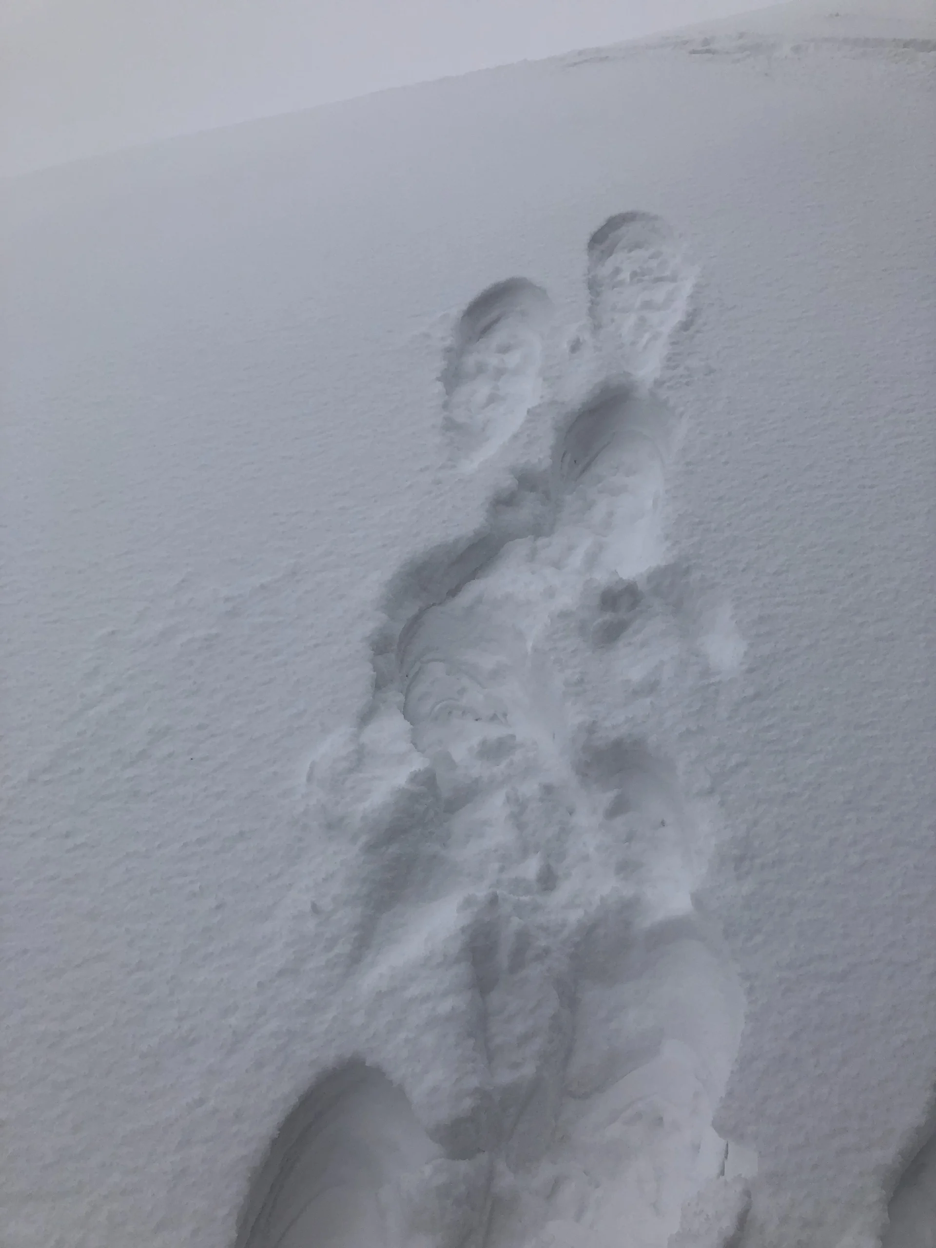 Wochenende im Schnee | © Kiermeier Christian