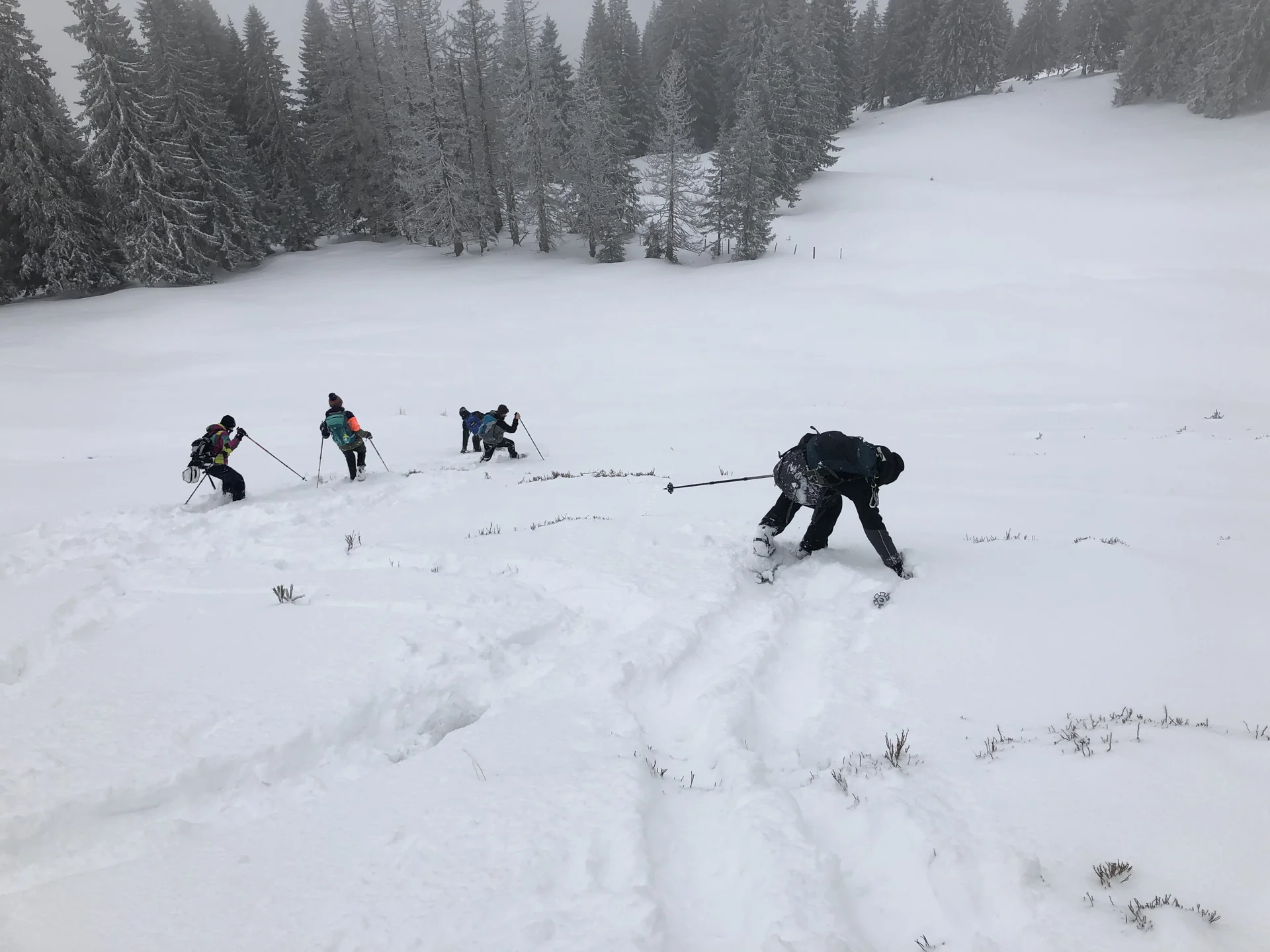 Wochenende im Schnee | © Kiermeier Christian