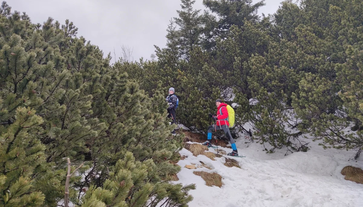 Vorderkaiserfeldenhütte | © Schlappinger Anna