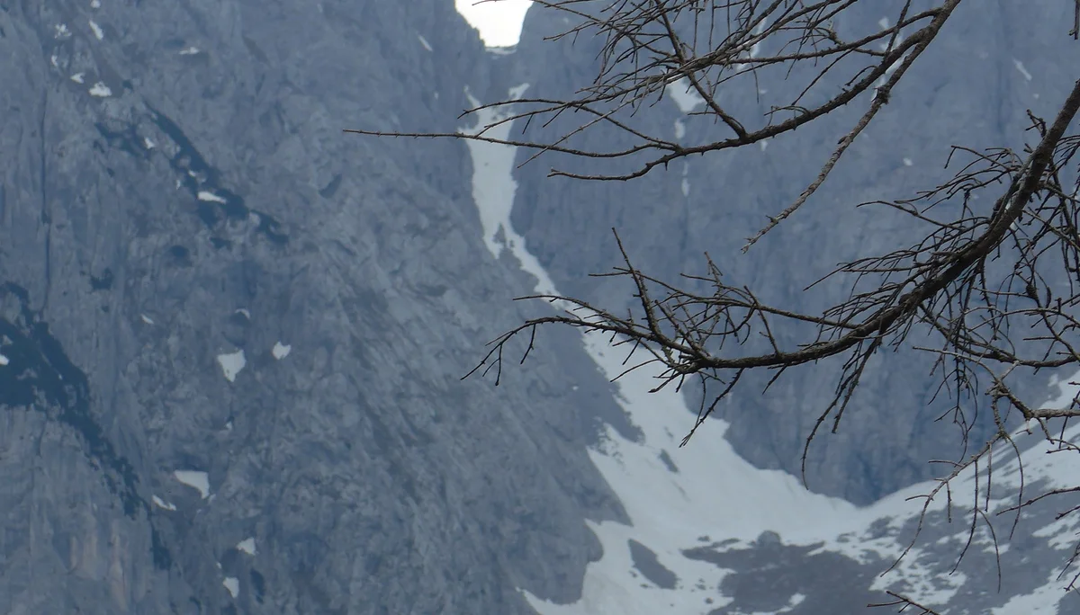 Zahmer Kaiser | © Ludwig Able