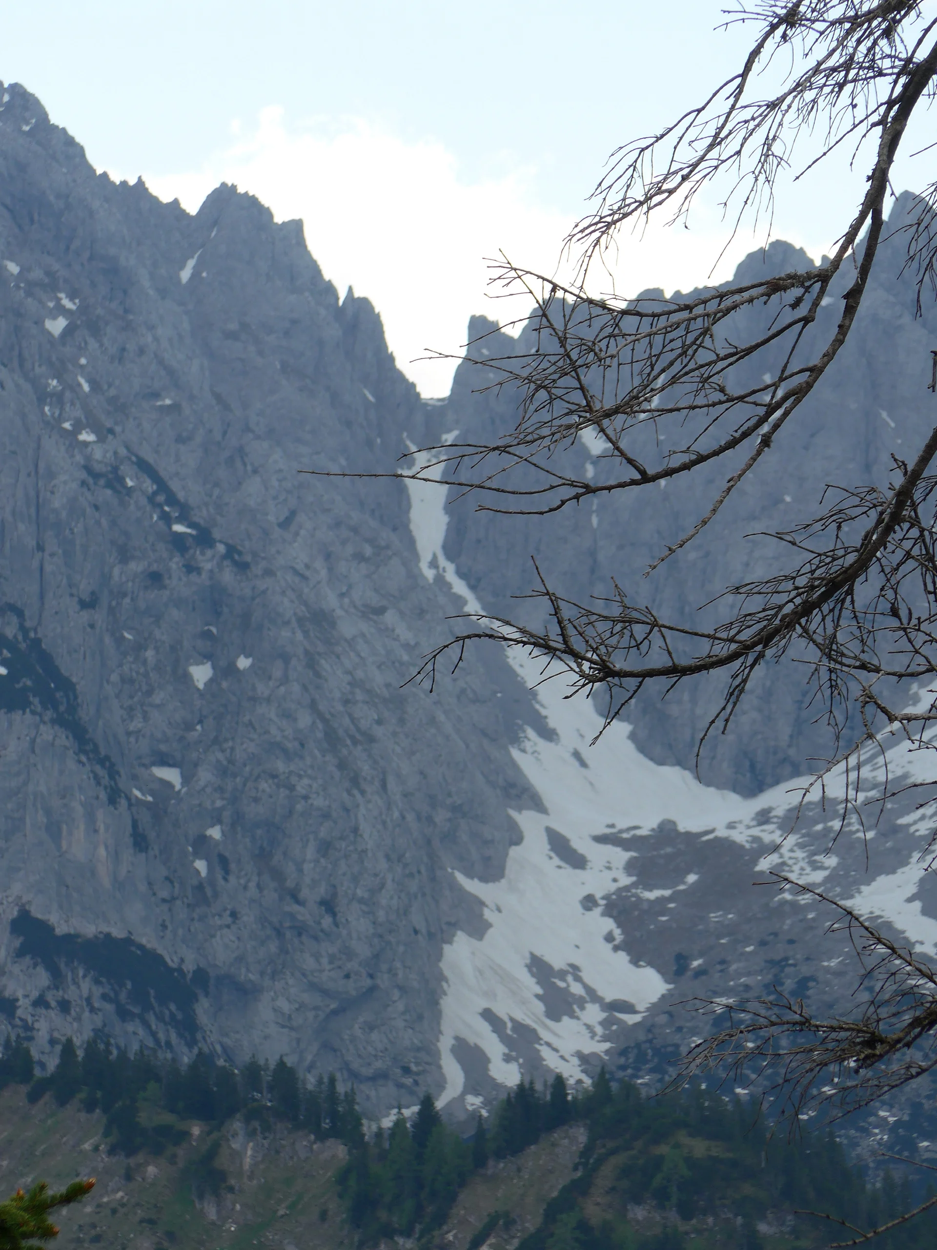 Zahmer Kaiser | © Ludwig Able