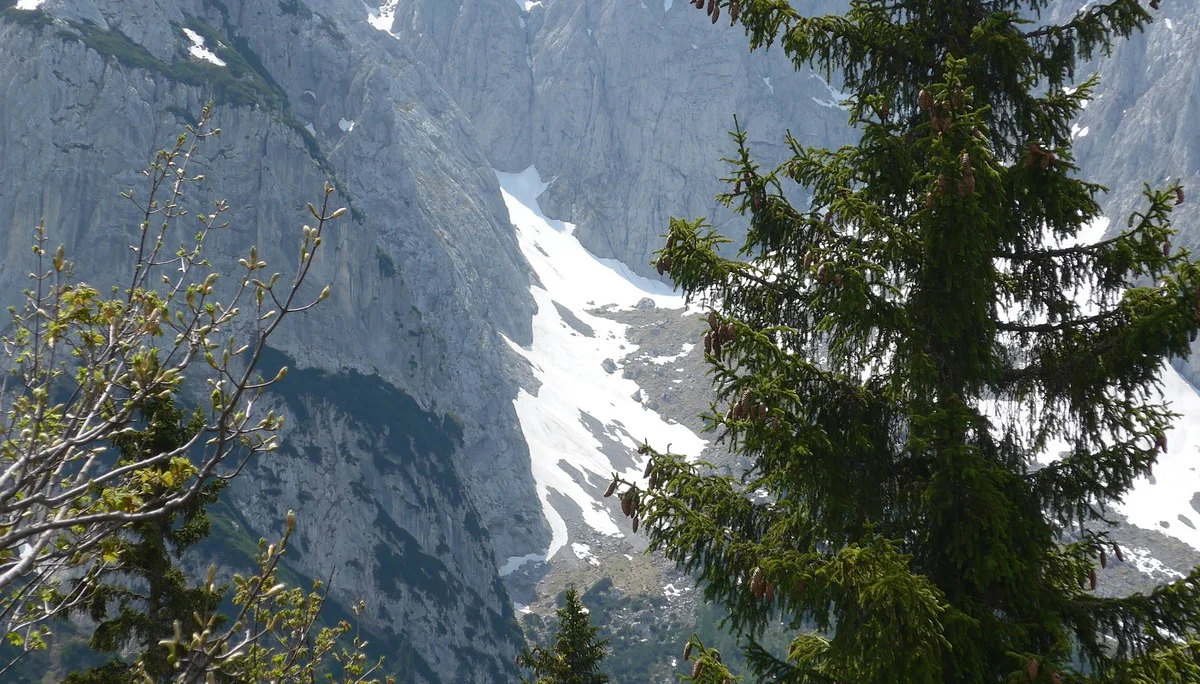 Zahmer Kaiser | © Ludwig Able