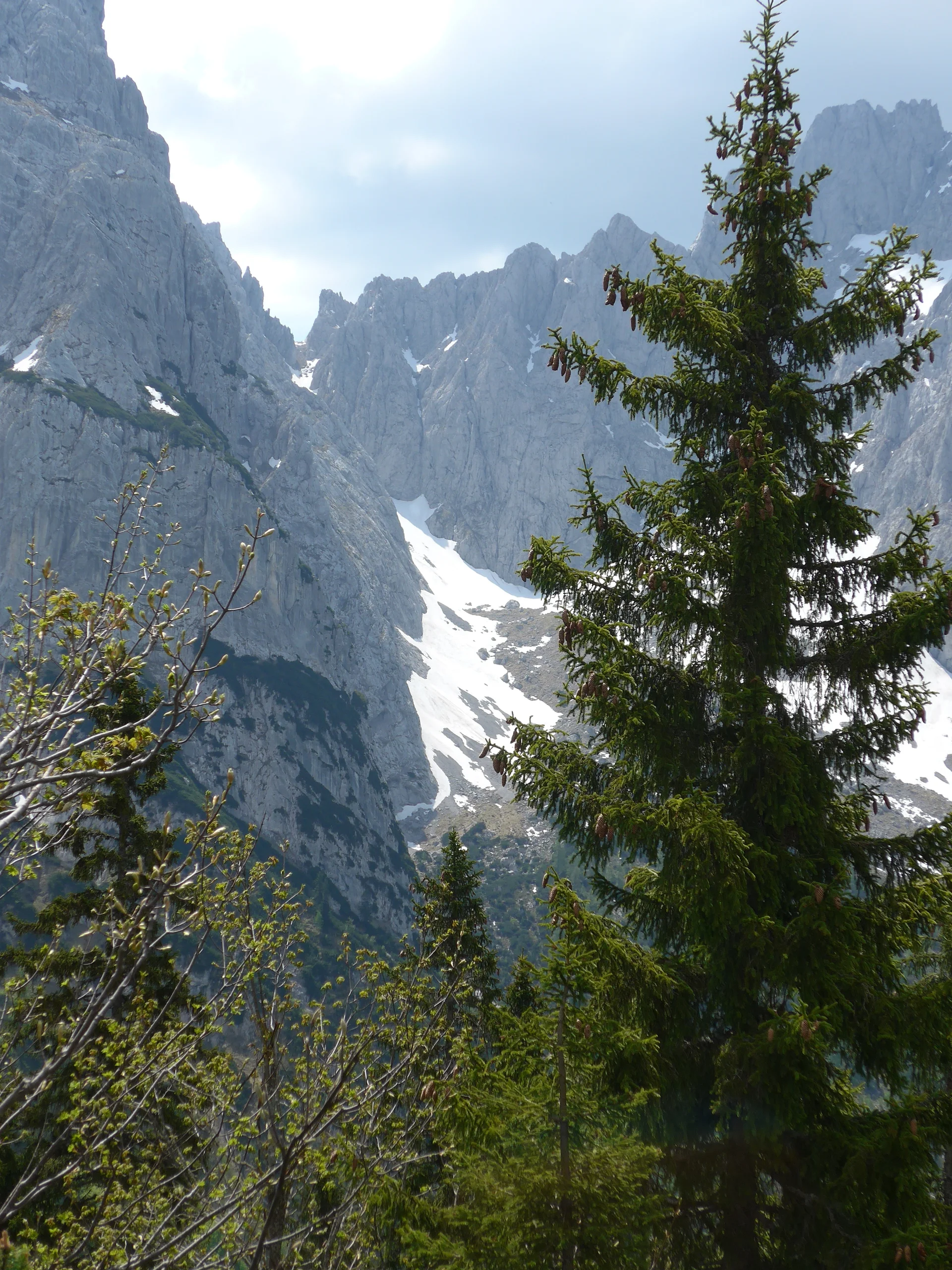 Zahmer Kaiser | © Ludwig Able