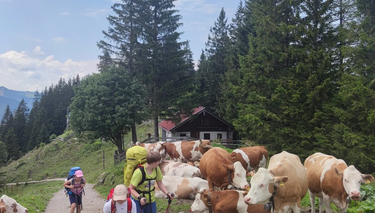 Aiblinger Hütte | © Schlappinger Anna