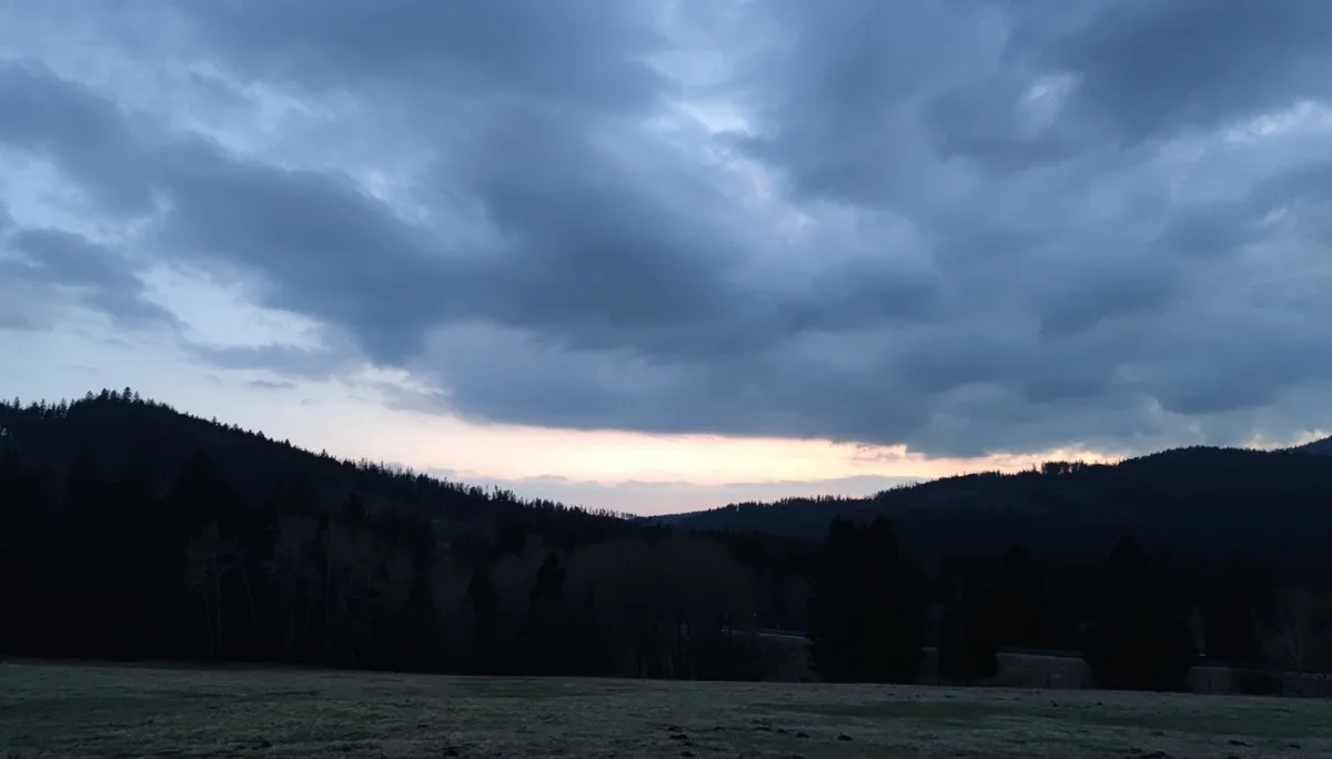 Bayerischer Wald | © Schlappinger Anna